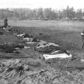 Deutsche Soldaten sammeln die Leichen der vond er Roten Armee bei Nemmersdorf ermordeten Zivilisten Foto: Bundesarchiv/Wikimedia mit