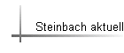Steinbach aktuell
