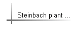 Steinbach plant ...